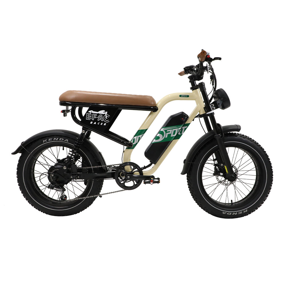 W66 E-Bikes