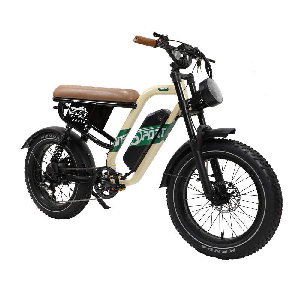 W66 E-Bikes