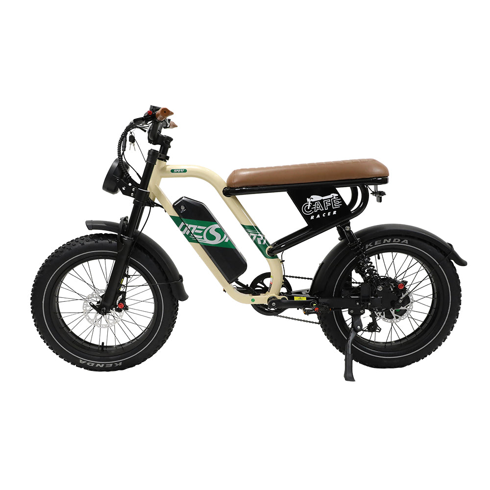 W66 E-Bikes
