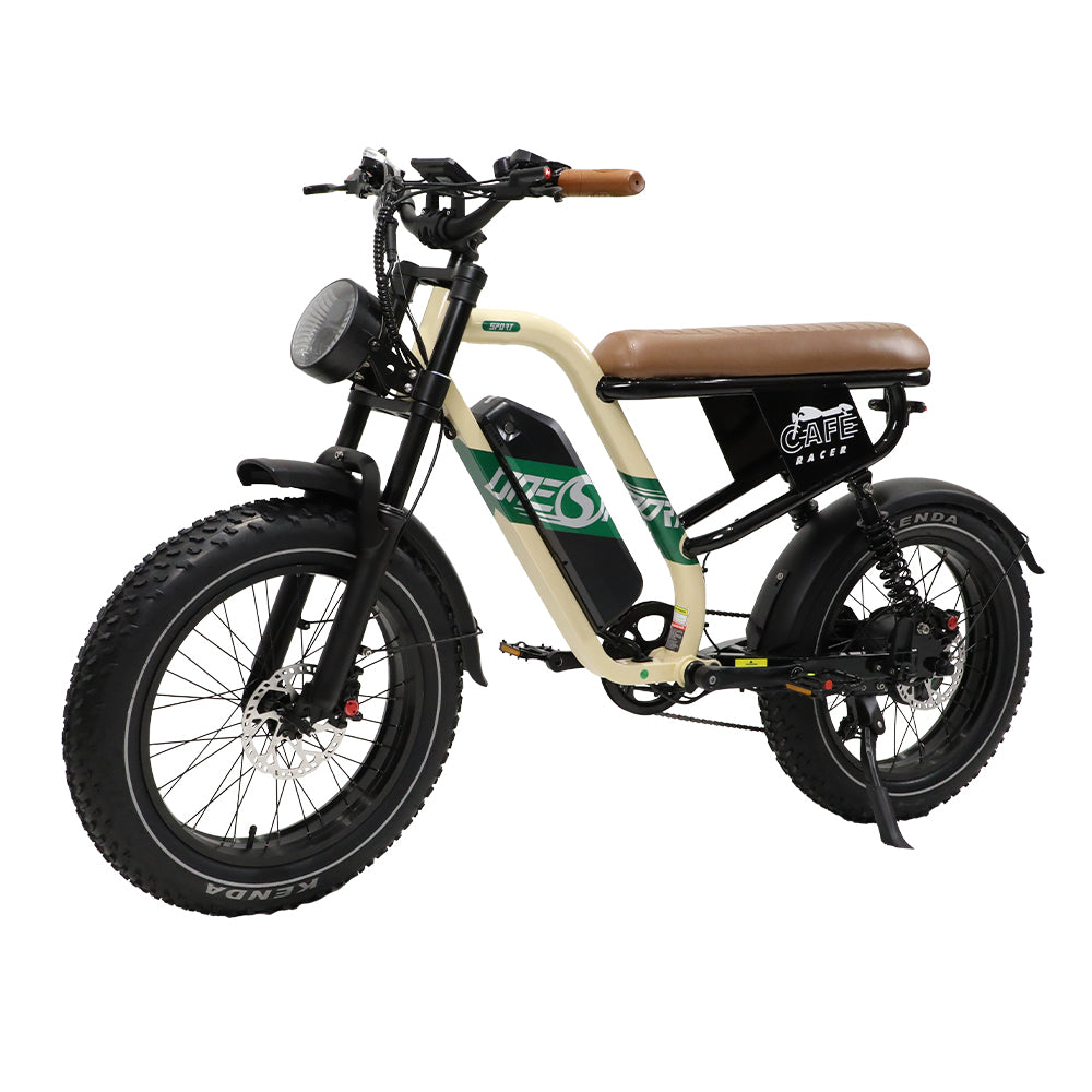W66 E-Bikes
