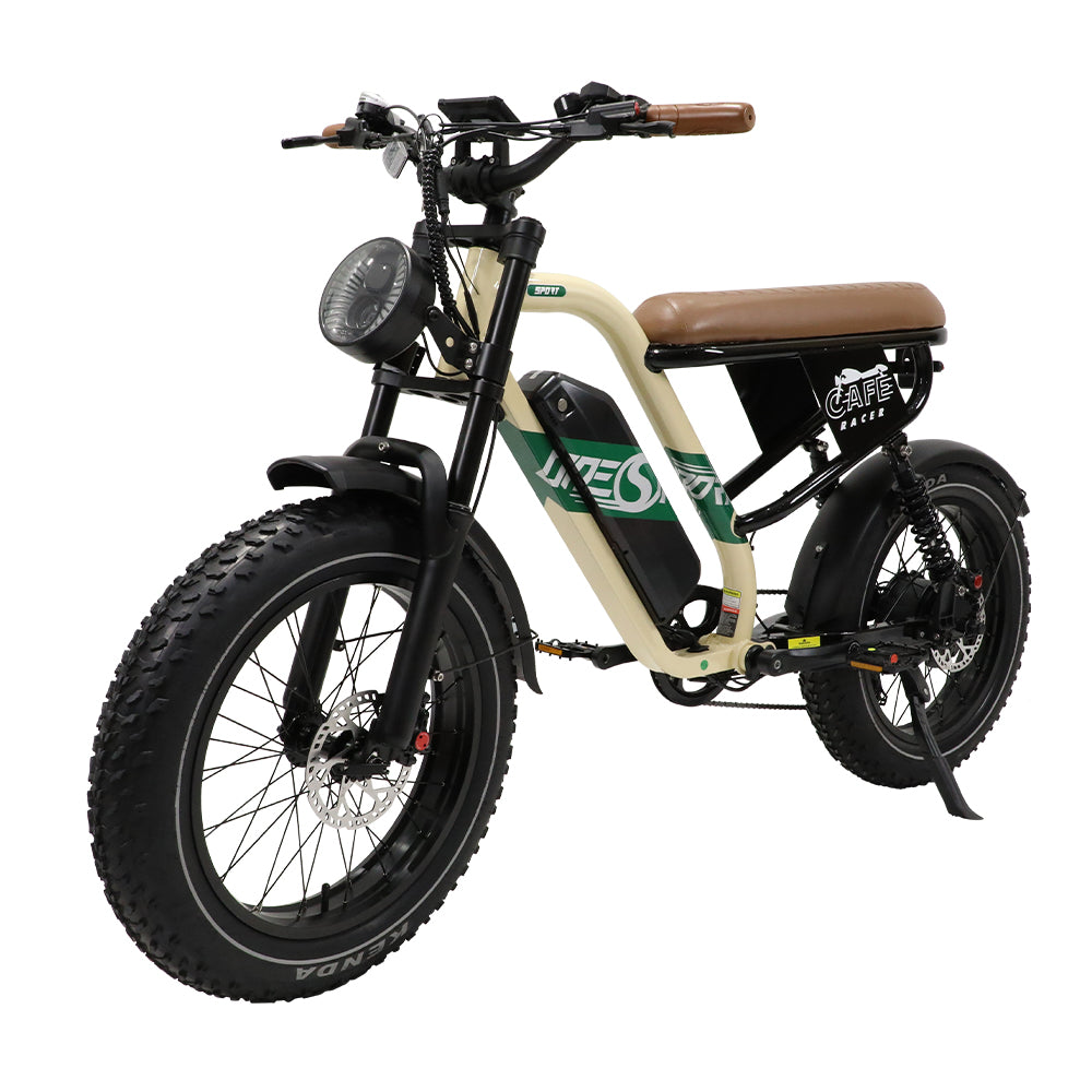 W66 E-Bikes