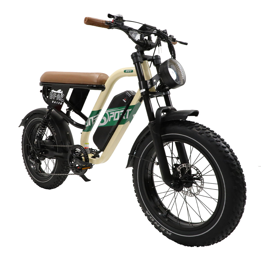 W66 E-Bikes