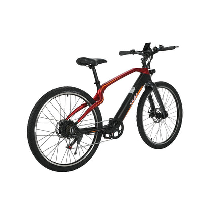 HVH Duplex Color E-Bike