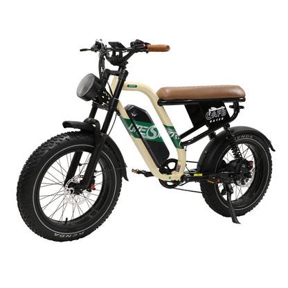 W66 E-Bikes