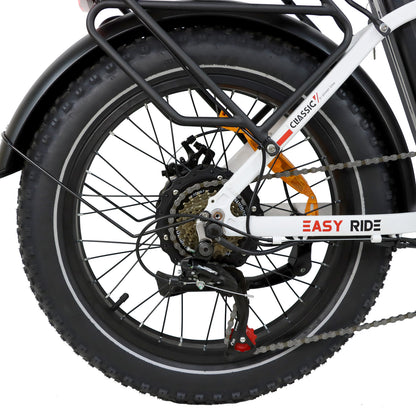 HVH-DZ2030 Foldable Fat Tire  Electric Bike